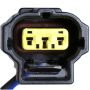 DELPHI HP10074 Fuel Pump Hanger Assembly