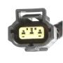 DELPHI HP10197 Fuel Pump Hanger Assembly