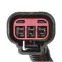 DELPHI HP10199 Fuel Pump Hanger Assembly