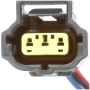 DELPHI HP10226 Fuel Pump Hanger Assembly