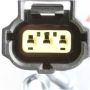 DELPHI HP10229 Fuel Pump Hanger Assembly