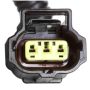 DELPHI HP10230 Fuel Pump Hanger Assembly