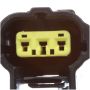 DELPHI HP10231 Fuel Pump Hanger Assembly