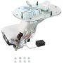 DELPHI HP10250 Fuel Pump Hanger Assembly