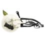 DELPHI PN3011 Fuel Pump Module Assembly