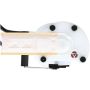 DELPHI PN3029 Fuel Pump Module Assembly
