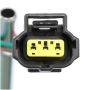 DELPHI PN4006 Fuel Pump Hanger Assembly