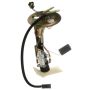 DELPHI PN4009 Fuel Pump Hanger Assembly