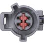 DELPHI PN4061 Fuel Pump Hanger Assembly