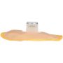DELPHI PN7025 Fuel Pump Strainer