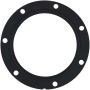 DELPHI PN9010 Fuel Pump Tank Seal