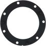 DELPHI PN9010 Fuel Pump Tank Seal