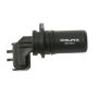 DELPHI SS10813 Engine Crankshaft Position Sensor