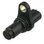 DELPHI SS10939 Engine Camshaft Position Sensor