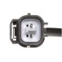 DELPHI SS12138 Engine Crankshaft Position Sensor