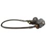 DELPHI SS12146 Engine Crankshaft Position Sensor