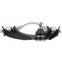 DELPHI TC849 Control Arm and Ball Joint Assembly
