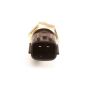 DELPHI TS10064 Engine Coolant Temperature Sensor