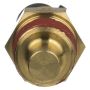 DELPHI TS10075 Engine Coolant Temperature Sensor