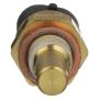 DELPHI TS10076 Engine Coolant Temperature Sensor