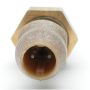 DELPHI TS10193 Engine Coolant Temperature Sensor