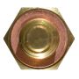 DELPHI TS10250 Engine Coolant Temperature Sensor