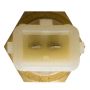 DELPHI TS10251 Engine Coolant Temperature Sensor