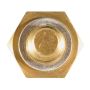 DELPHI TS10258 Engine Coolant Temperature Sensor