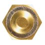 DELPHI TS10263 Engine Coolant Temperature Sensor