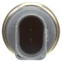 DELPHI TS10278 Engine Coolant Temperature Sensor
