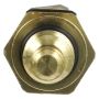 DELPHI TS10287 Engine Coolant Temperature Sensor