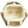 DELPHI TS10289 Engine Coolant Temperature Sensor