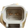 DELPHI TS10294 Engine Coolant Temperature Sensor