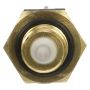 DELPHI TS10536 Air Charge Temperature Sensor