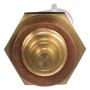 DELPHI TS10547 Engine Coolant Temperature Sensor