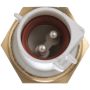 DELPHI TS10557 Air Charge Temperature Sensor