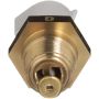 DELPHI TS10557 Air Charge Temperature Sensor