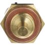 DELPHI TS10572 Engine Coolant Temperature Sensor