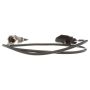 DELPHI TS30020 Exhaust Gas Temperature (EGT) Sensor