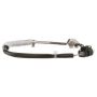 DELPHI TS30058 Exhaust Gas Temperature (EGT) Sensor