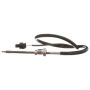 DELPHI TS30070 Exhaust Gas Temperature (EGT) Sensor