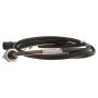 DELPHI TS30143 Exhaust Gas Temperature (EGT) Sensor