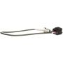 DELPHI TS30320 Exhaust Gas Temperature (EGT) Sensor