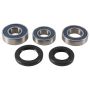 All Balls Racing 25-1754 13-14 Gas-Gas EC125 Wheel Bearing Kit Rear