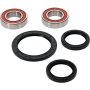 Pivot Works 25-1584-P Triumph Wheel Bearing Kit Premium Bearings