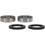 Pivot Works 25-1806-P Yamaha Wheel Bearing Kit Premium Bearings