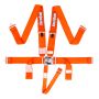 Racequip 711041 Orange L & L 5pt Seat Belt