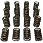 Howards Racing Components 98636 (Vss) Springs