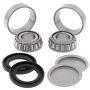 All Balls Racing 28-1056 Swing Arm Bearing Kits