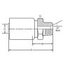 Dayco 108248 DC08-06MP